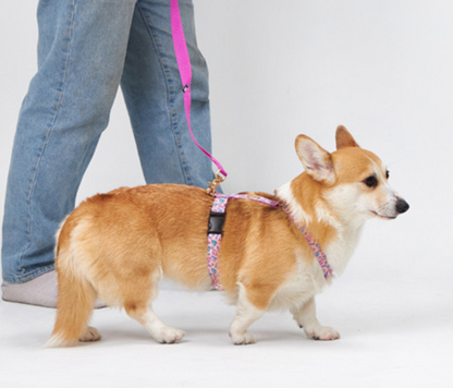 Spring hand leash