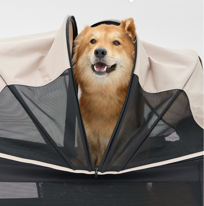 Watermelon pet stroller (Merlie MW 6) (Ver. 2)