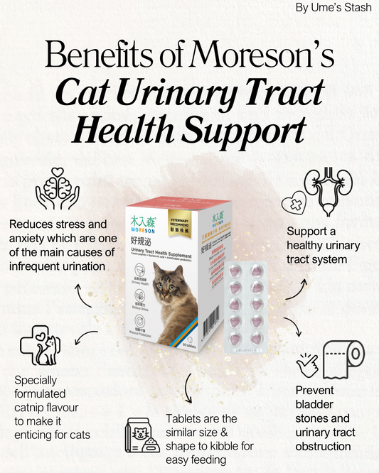 Cat Urinary Tract Health Support
