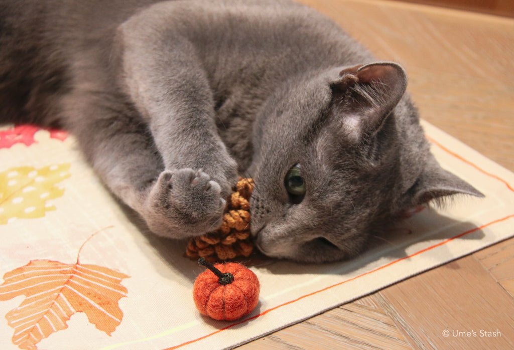 Best of Autumn cat toys - Ume's Stash