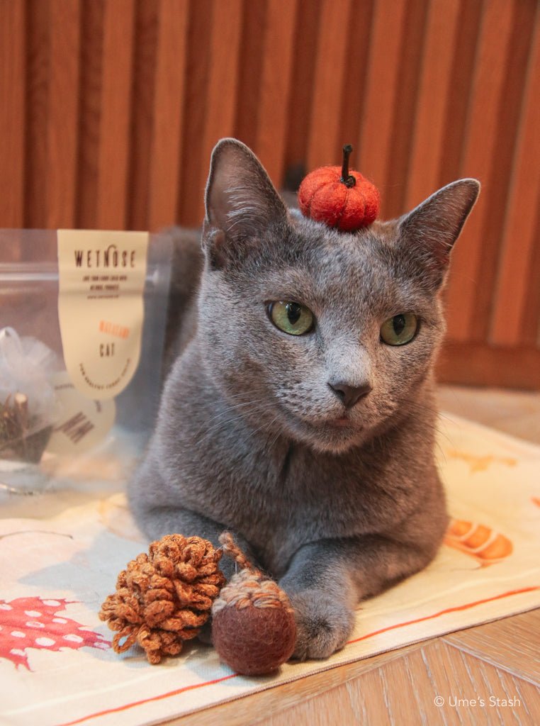 Best of Autumn cat toys - Ume's Stash