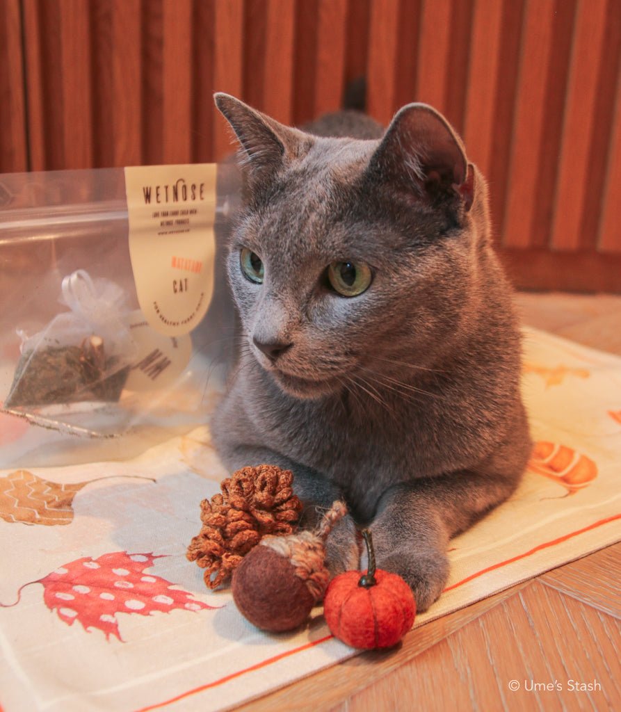 Best of Autumn cat toys - Ume's Stash