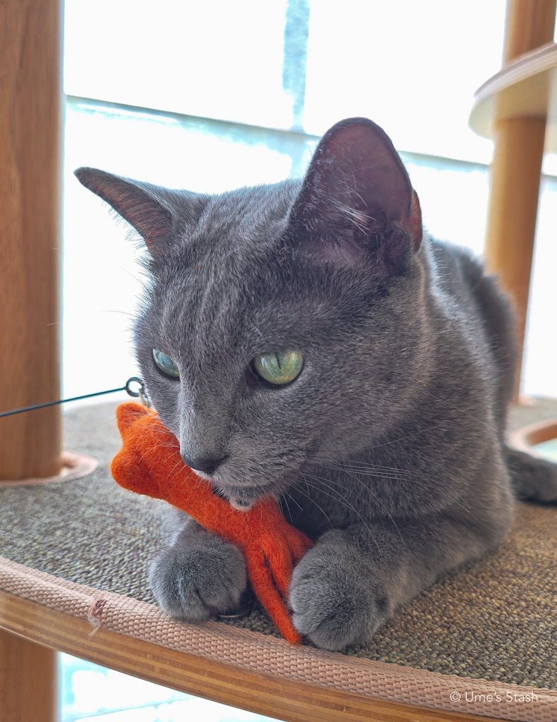 Big - eyed Squid wand attachment - Ume's Stash