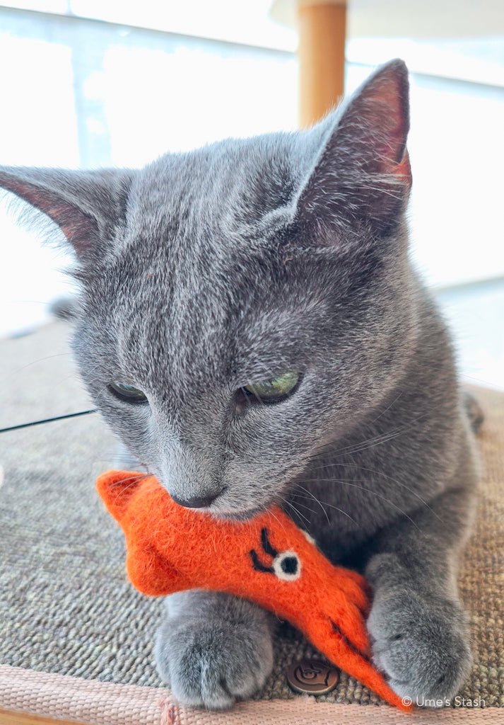 Big - eyed Squid wand attachment - Ume's Stash