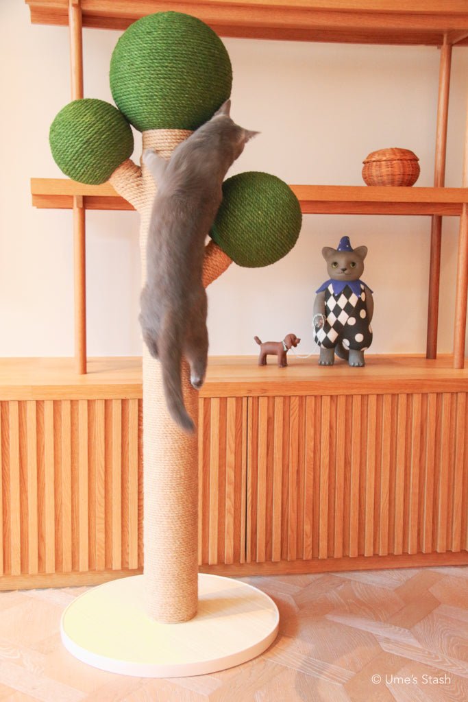 Bonsai scratching post - Ume's Stash