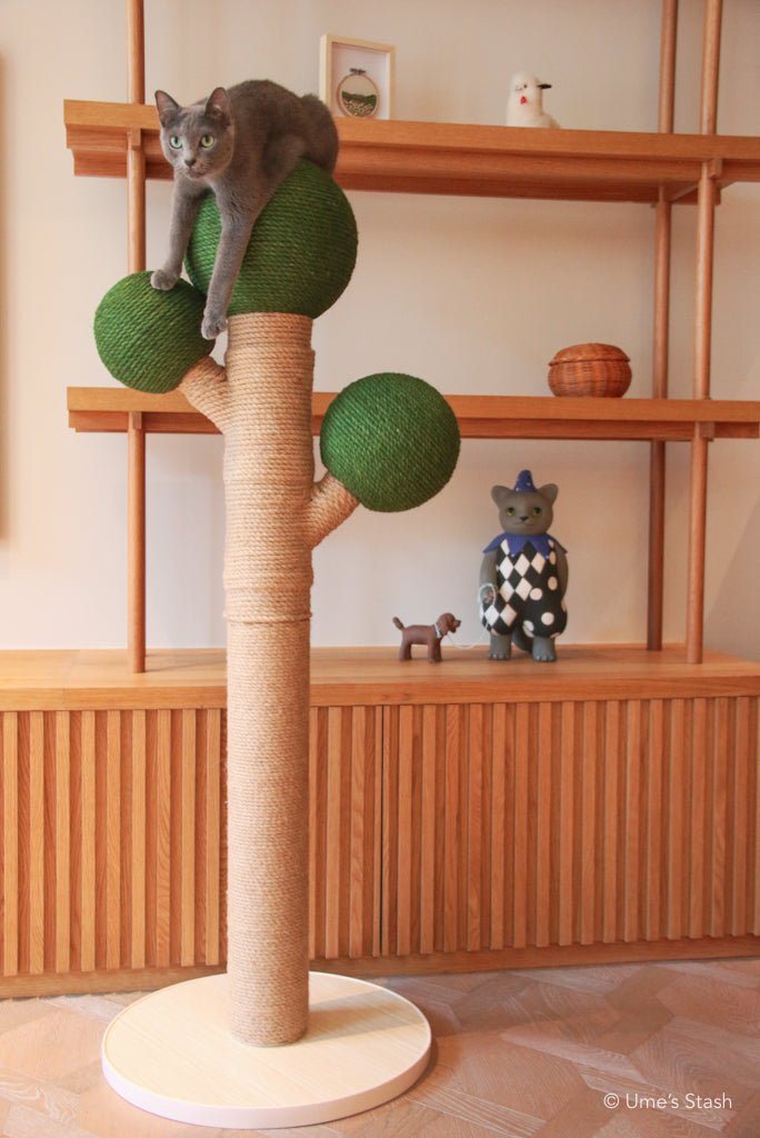 Bonsai scratching post - Ume's Stash