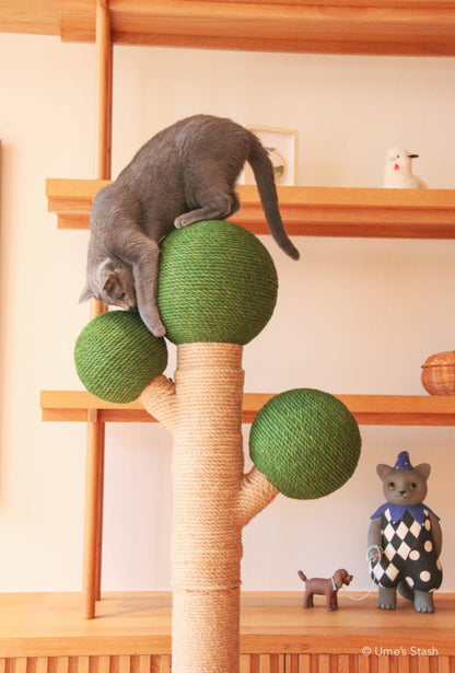 Bonsai scratching post - Ume's Stash