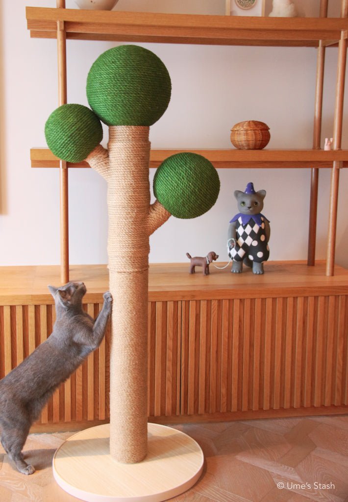 Bonsai scratching post - Ume's Stash