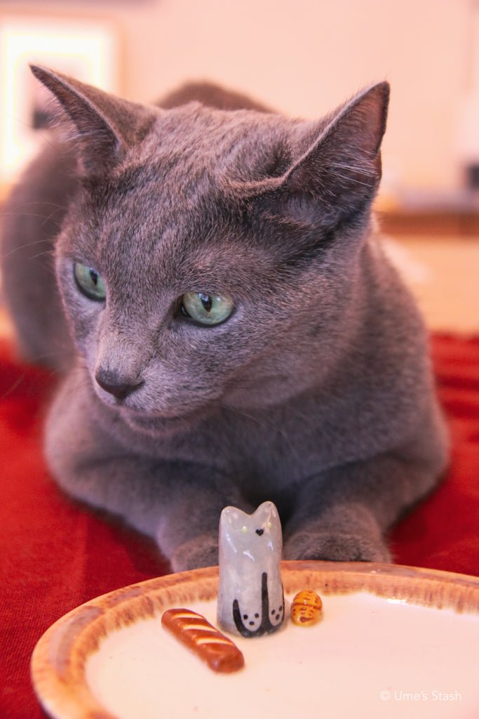 Boulangerie Cat plate - Gorong Lab - Cat themed homeware