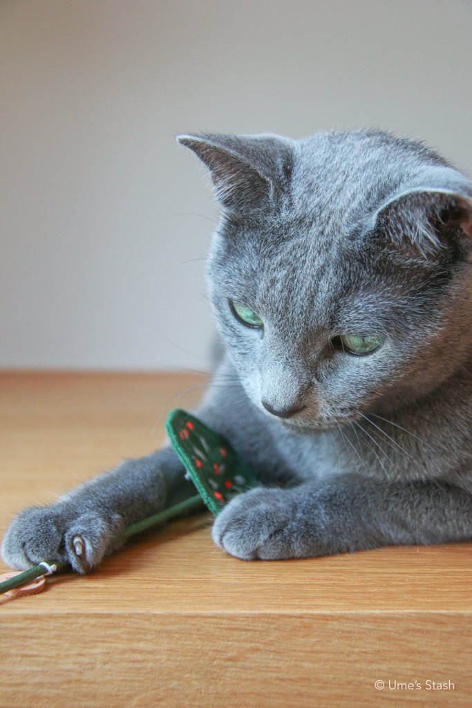 Caladium leaf teaser wand - Ume's Stash