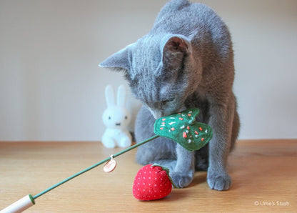 Caladium leaf teaser wand - Ume's Stash