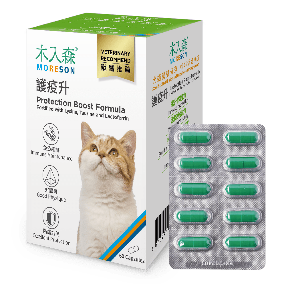 Cat Immunity Protection Boost Formula - Ume's Stash