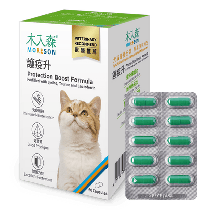 Cat Immunity Protection Boost Formula - Ume's Stash