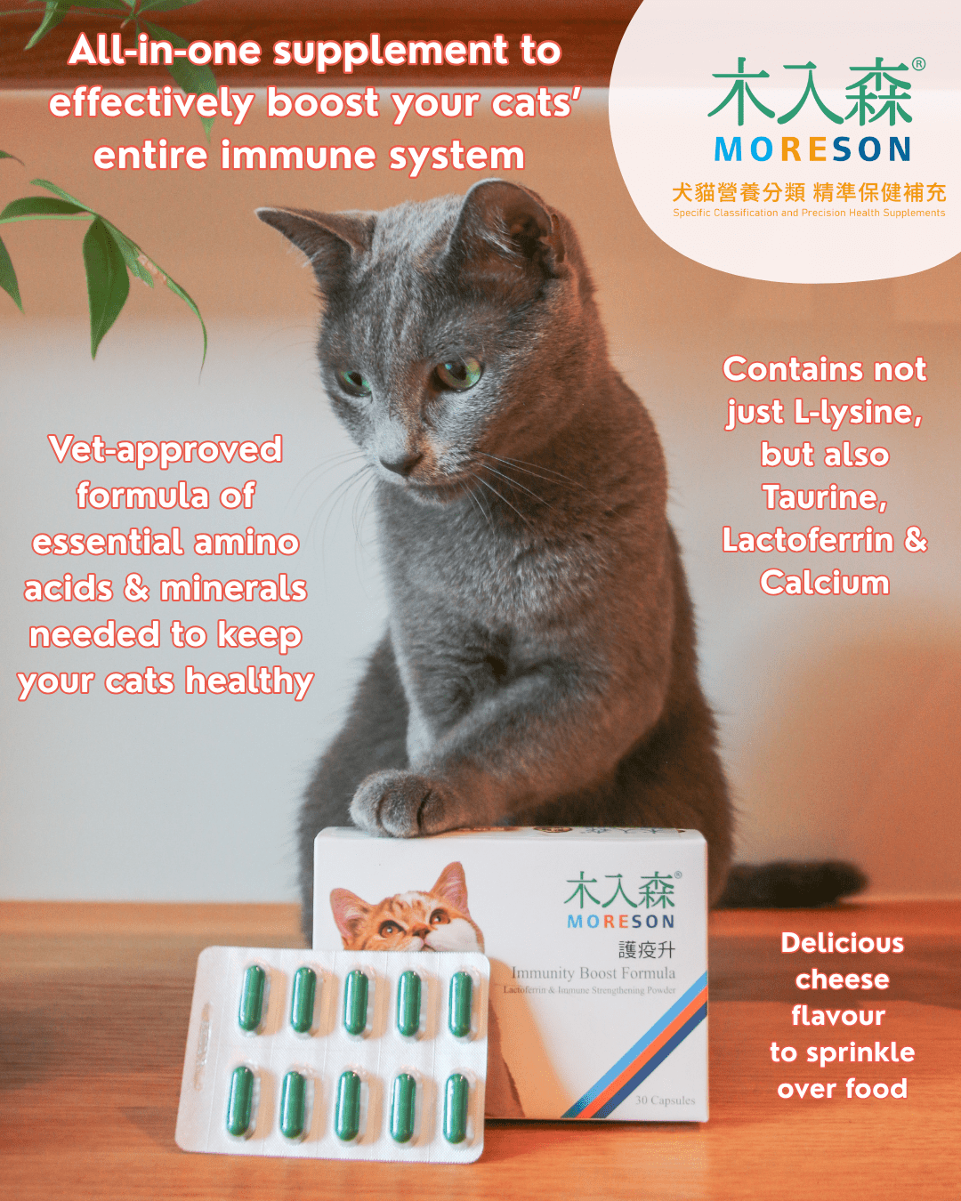 Cat Immunity Protection Boost Formula - Ume's Stash