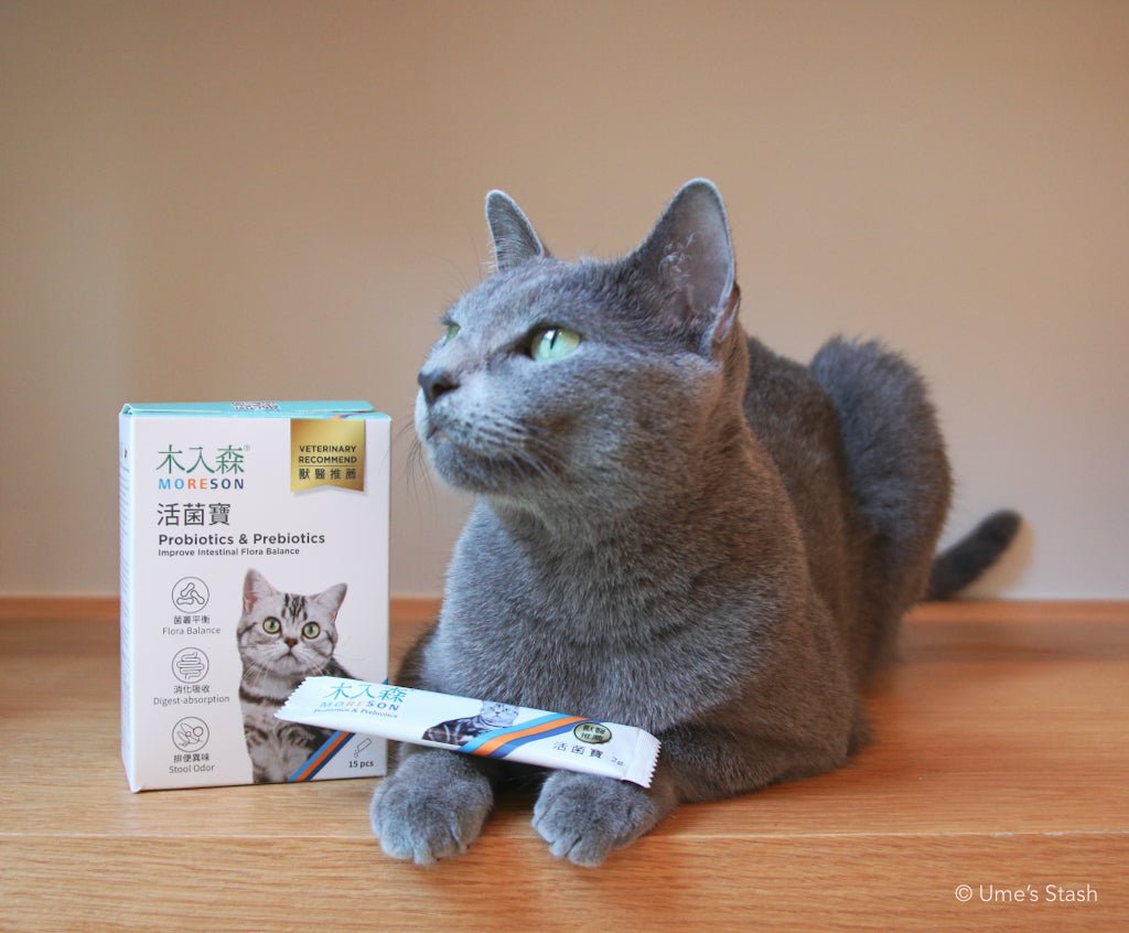 Cat Probiotics & Prebiotics - Ume's Stash