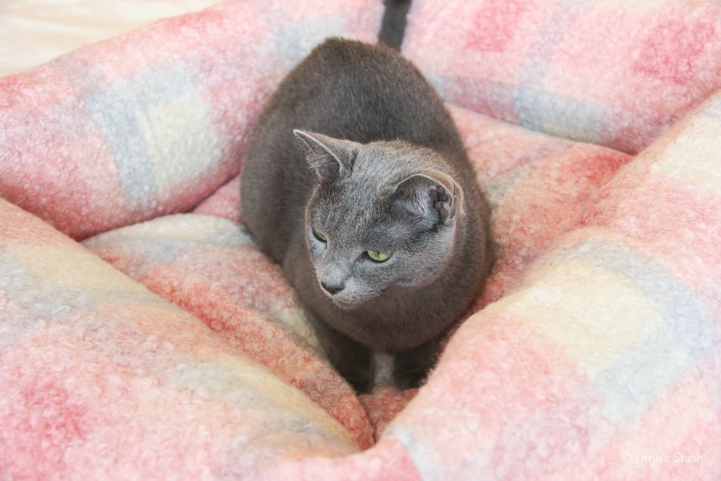 Coco cushion bed - Ume's Stash