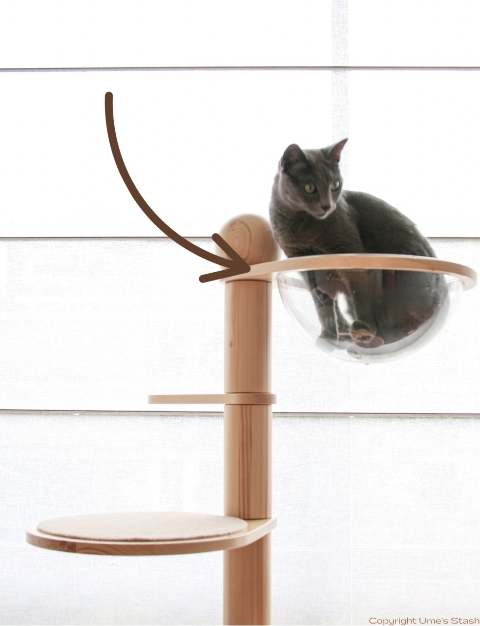 Juniper spiral cat tree