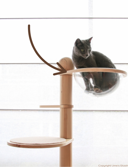 Juniper spiral cat tree