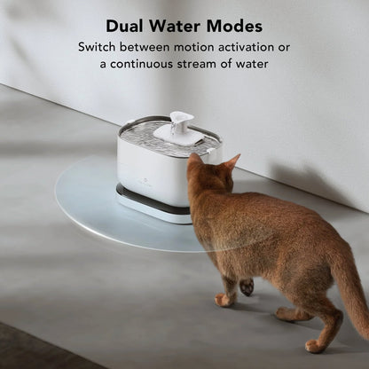 Dockstream water fountain (wireless) - Ume's Stash