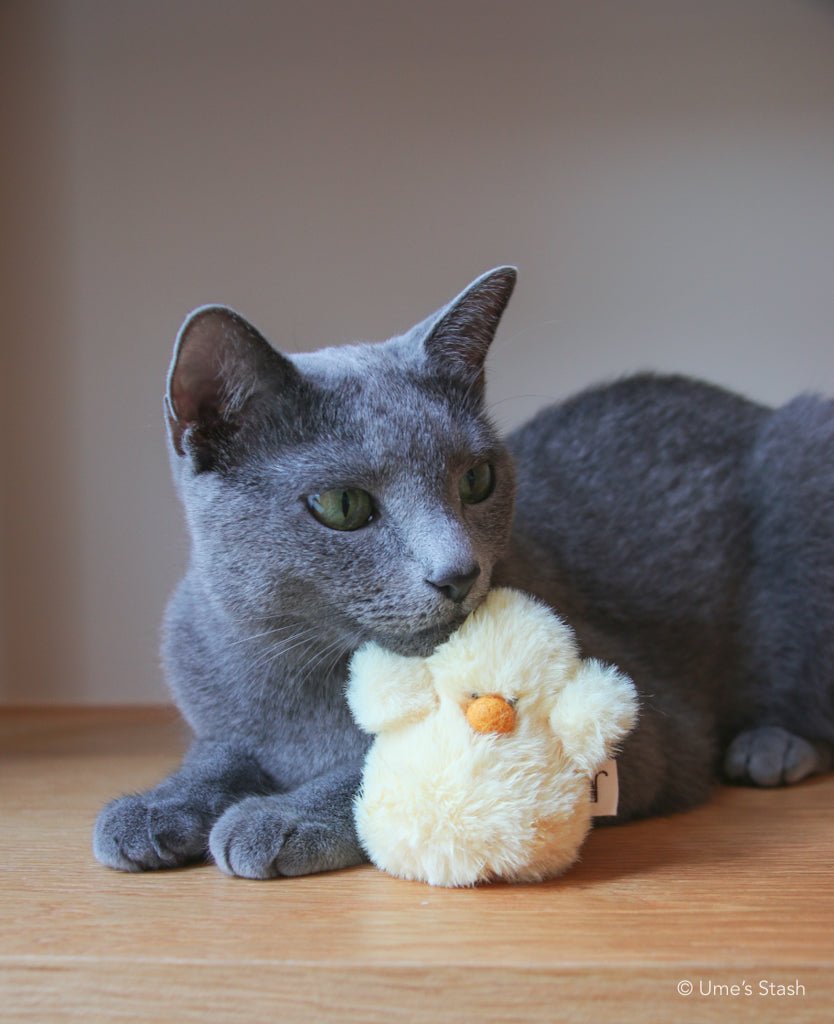 Fluffy chick toy - Ume's Stash