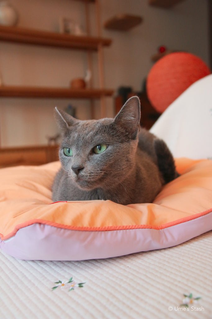 Fluffy Cloud pet cushion - Ume's Stash