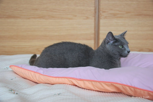 Fluffy Cloud pet cushion - Ume's Stash