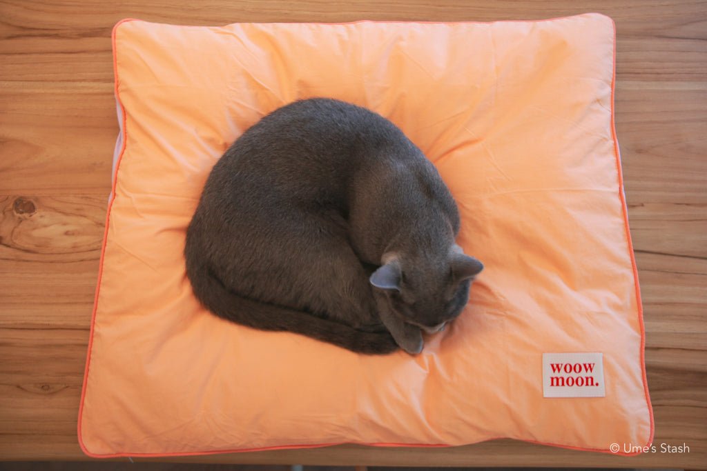 Fluffy Cloud pet cushion - Ume's Stash