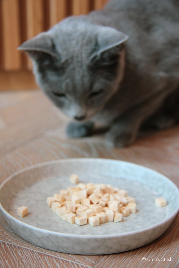 Freeze-dried Alaskan Pollack Mini Treats - Ume's Stash