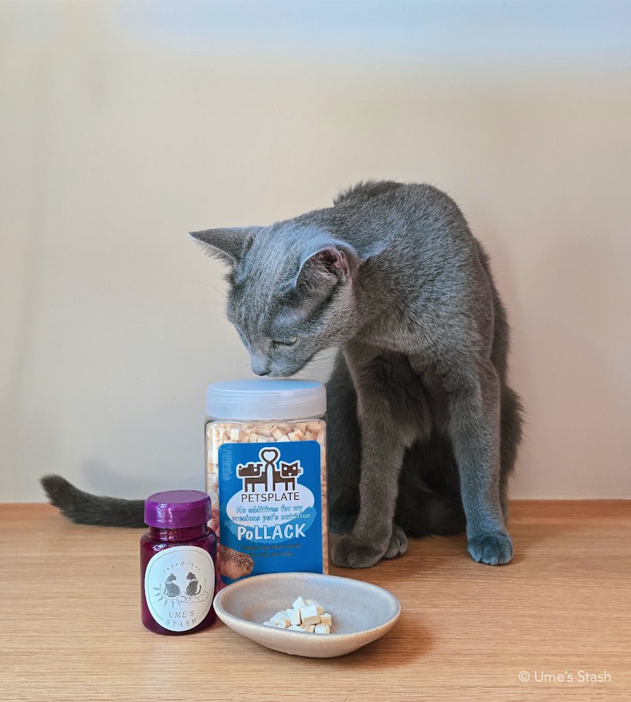 Freeze-dried Alaskan Pollack Mini Treats - Ume's Stash