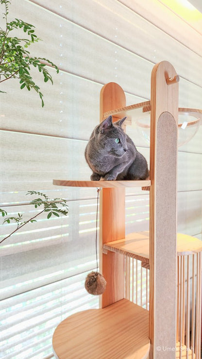 Great Cypress cat tree - Ume's Stash