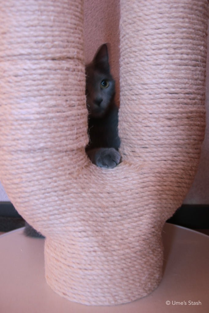 Great Maple scratching post (Spring pink) - Ume's Stash