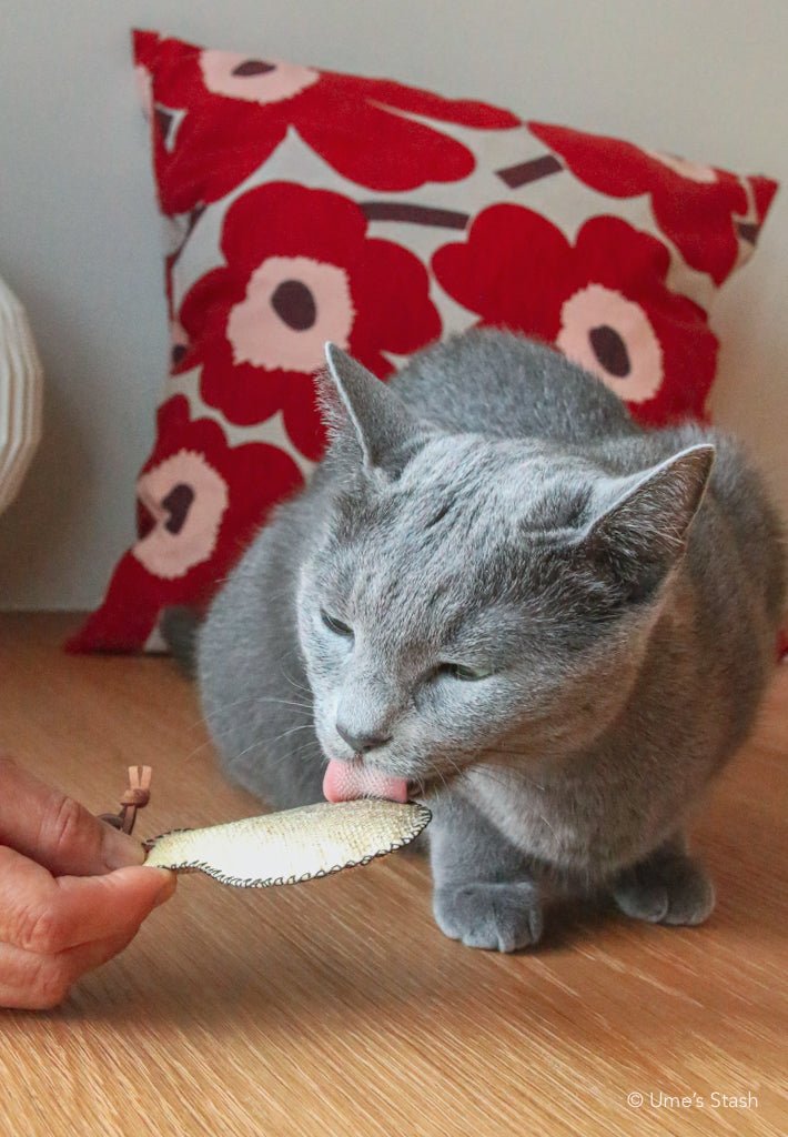Guppy fish leather cat toy - Ume's Stash