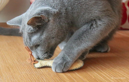 Guppy fish leather cat toy - Ume's Stash