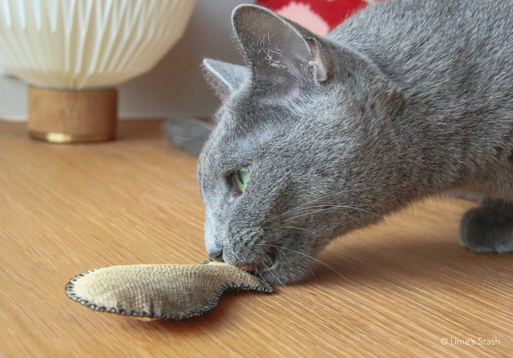 Guppy fish leather cat toy - Ume's Stash