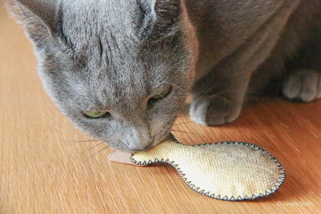Guppy fish leather cat toy - Ume's Stash