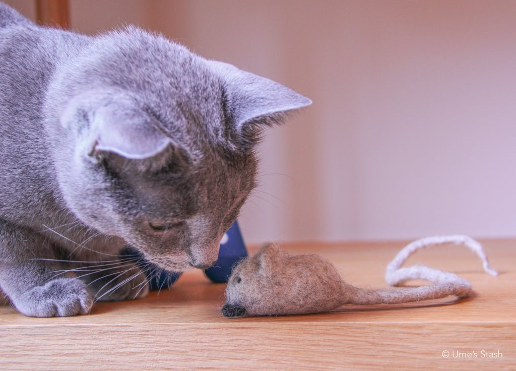 Gus mouse toy - Ume's Stash - Felt mouse cat toy