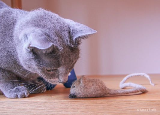 Gus mouse toy - Ume's Stash - Felt mouse cat toy