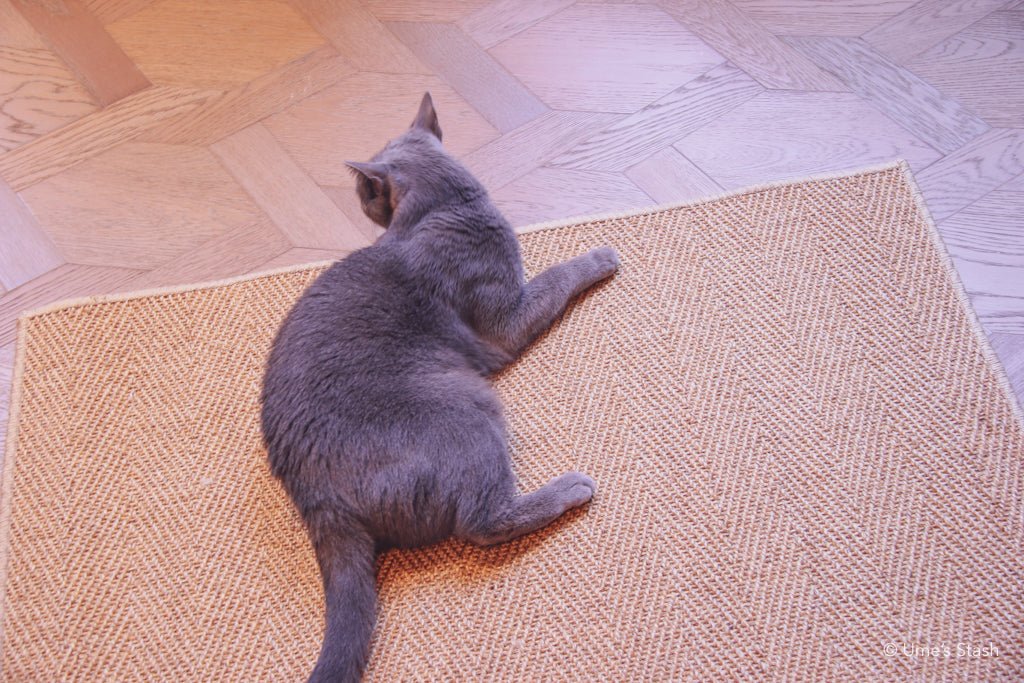 Herringbone scratcher rug (Rectangle) - Ume's Stash