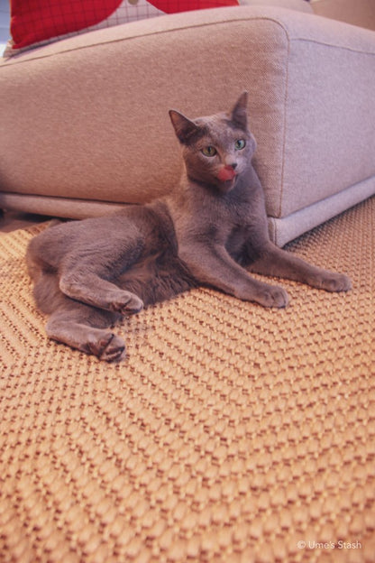 Herringbone scratcher rug (Round) - Ume's Stash