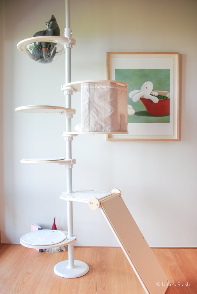Cat in spaceship bowl in cat pole tower