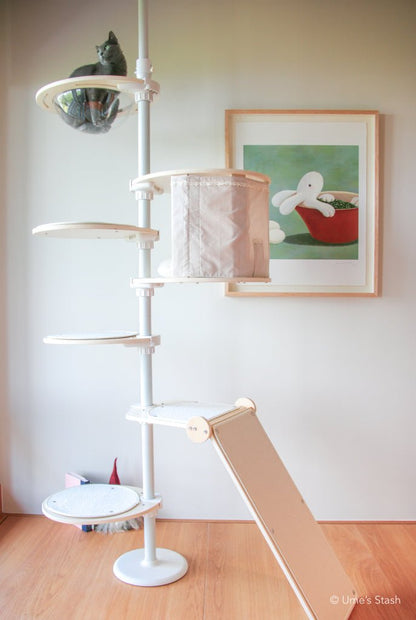 Cat in spaceship bowl in cat pole tower