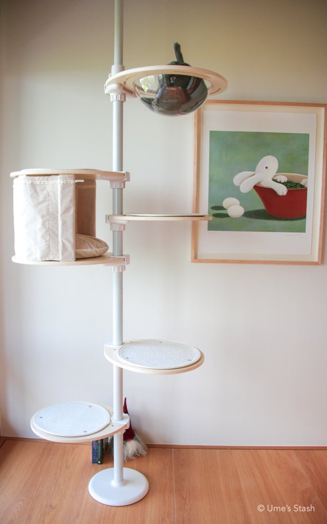Cat in spaceship bowl in cat pole tower