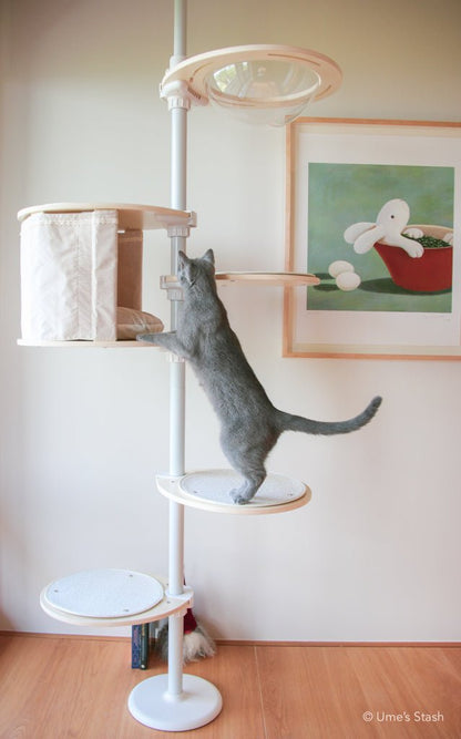 Cat climbing stable cat pole tower