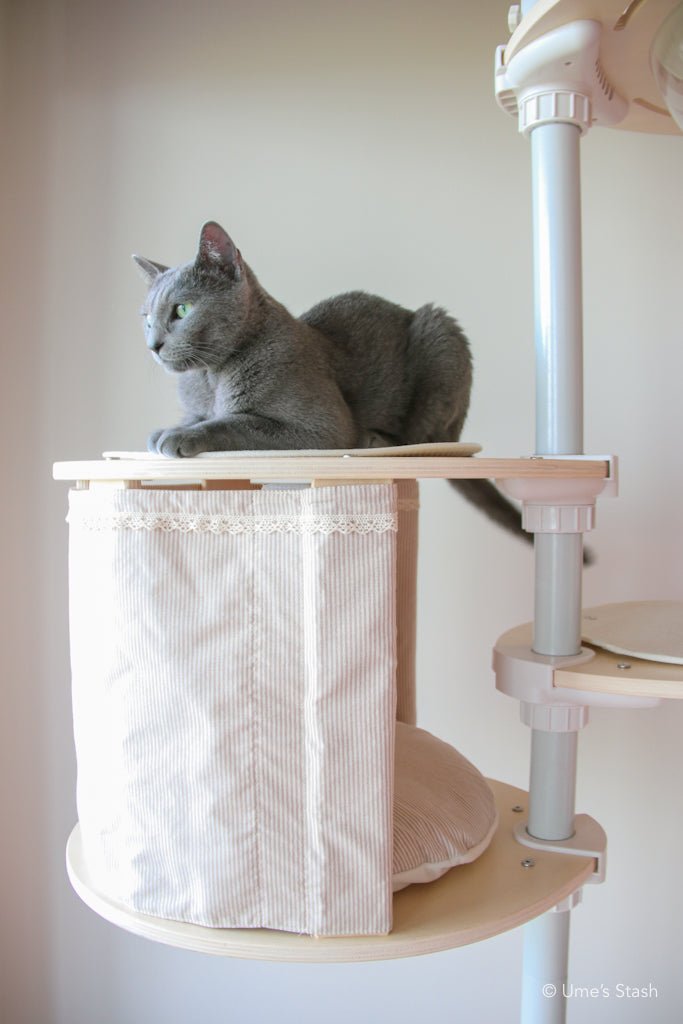 Cat resting on cat pole tower