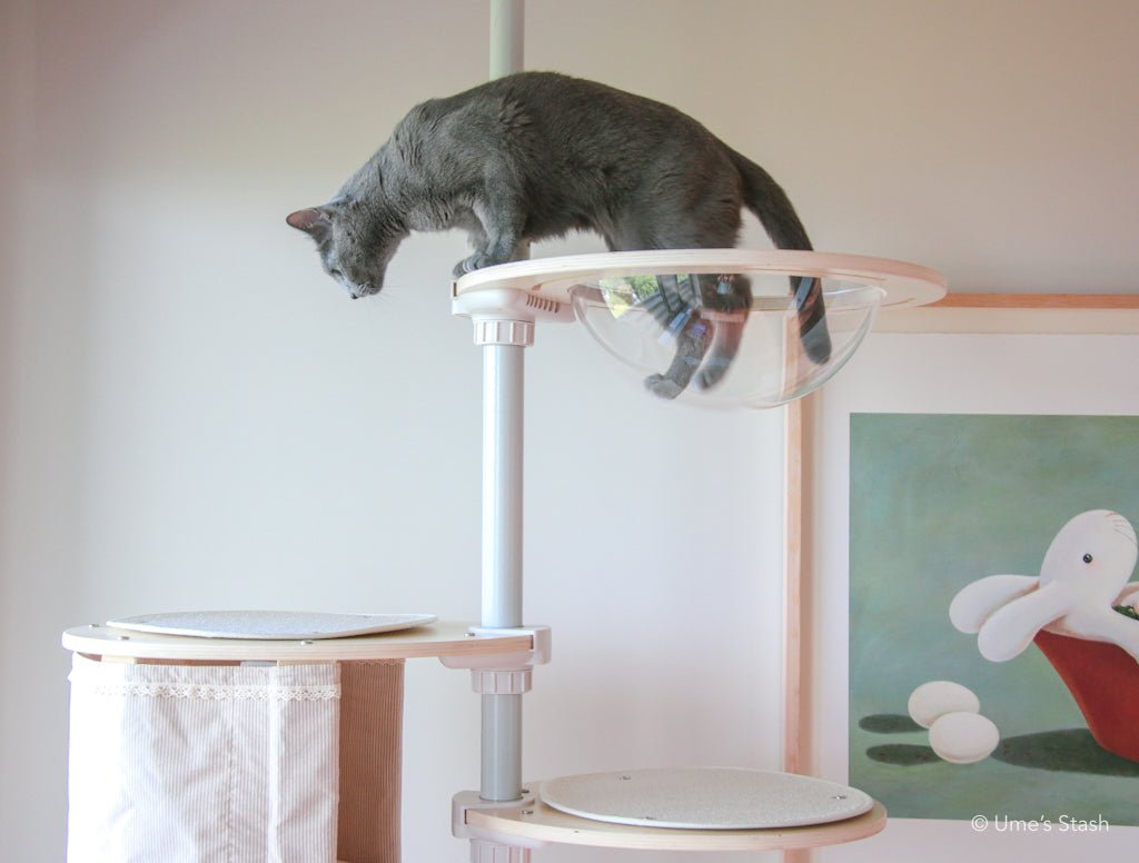 Plastic spaceship bowl in cat pole tower