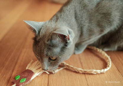 Holly cat wand - Ume's Stash - Cat teaser wand