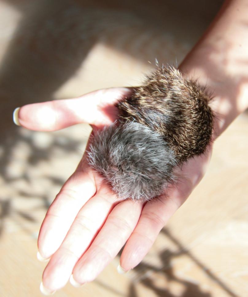 Mini soot sprites - Ume's Stash