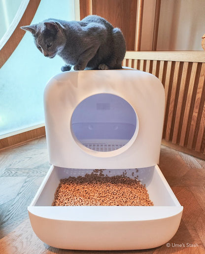 Nimbus litter box - Ume's Stash