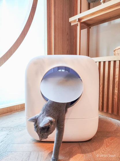 Nimbus litter box - Ume's Stash