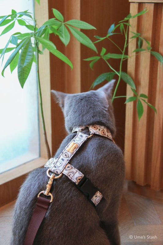 Paddington H - harness - Ume's Stash